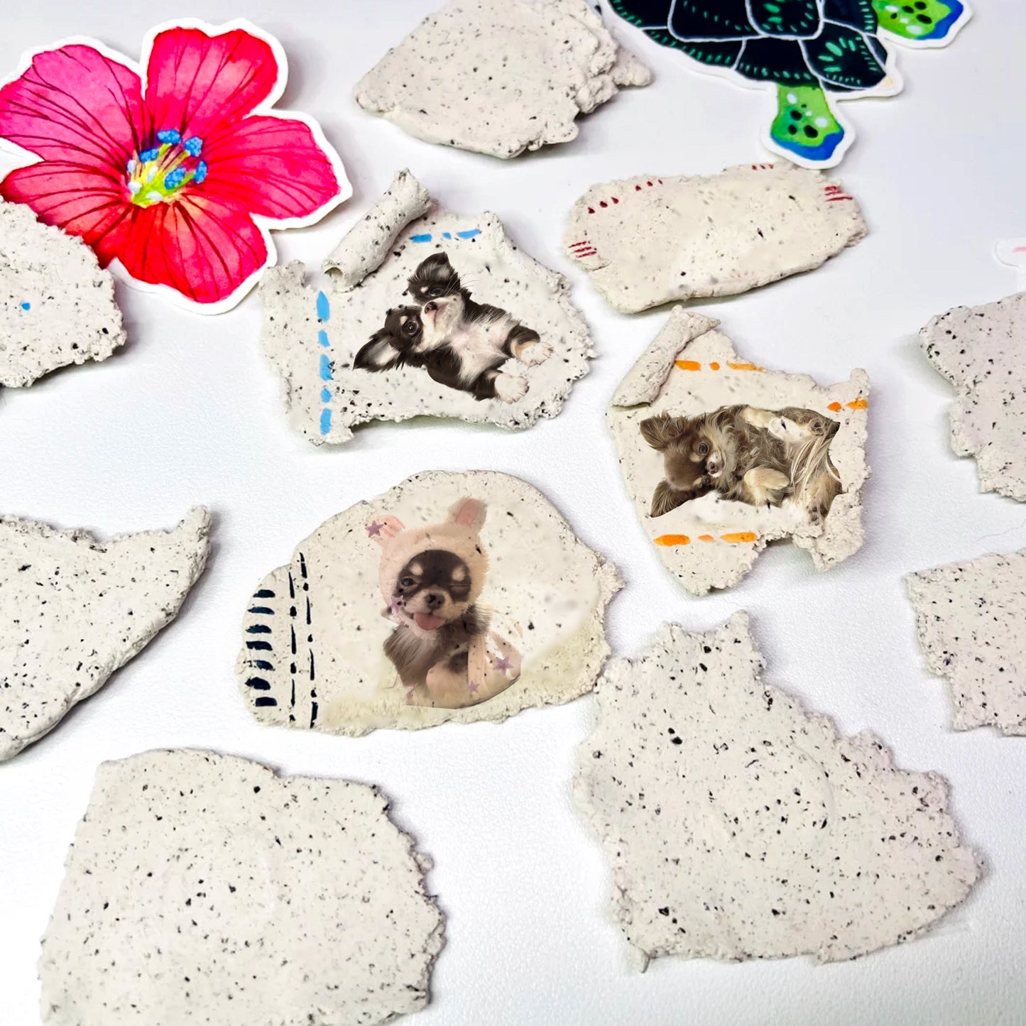 Pet Photo Fridge Magnet Customizable Clay Craft Kit
