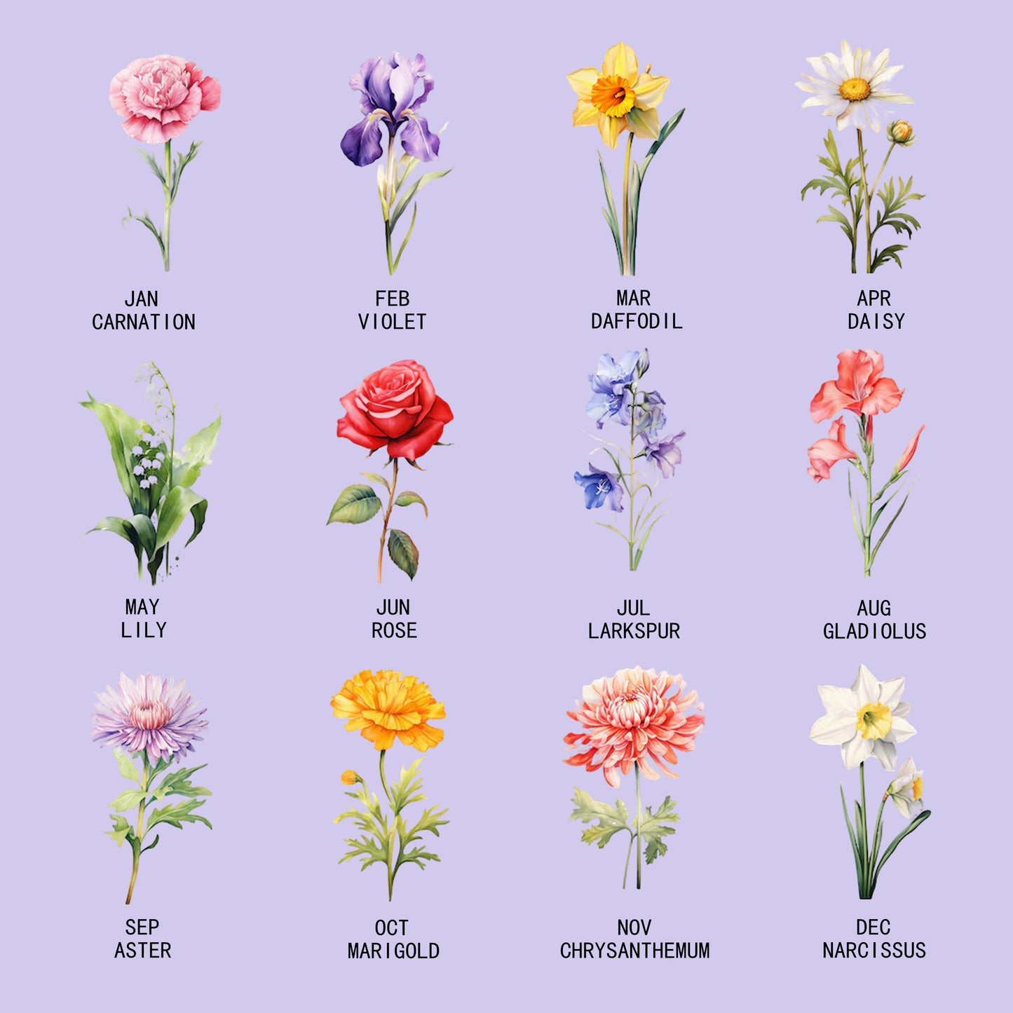 Birth Month Flower Fridge Magnets Clay Craft Kit