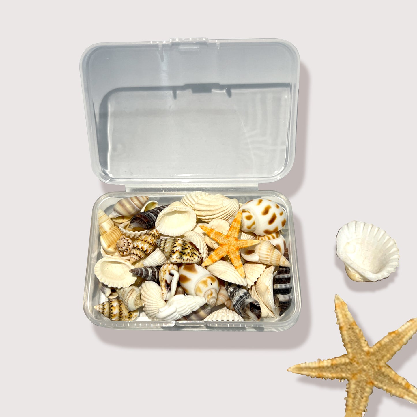 Seashell Magnetic DIY Air-Dry Clay Clock Kit or Order Custom-Made
