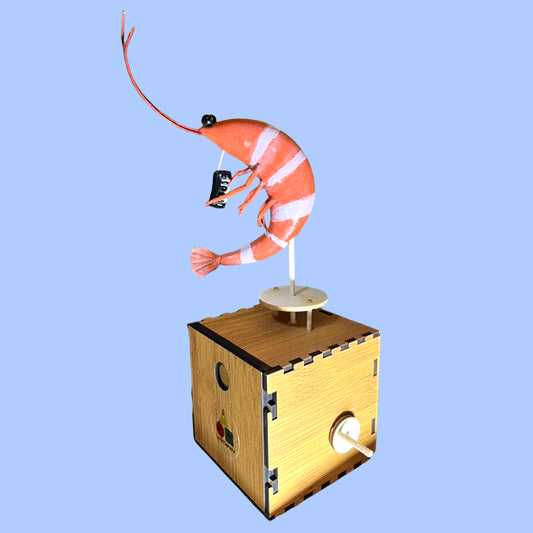 Groovy Shrimp Automata - Musical Clay Shrimp Mechanical Toy Kit