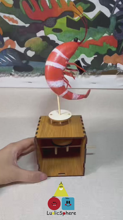 Groovy Shrimp Automata - Musical Clay Shrimp Mechanical Toy Kit