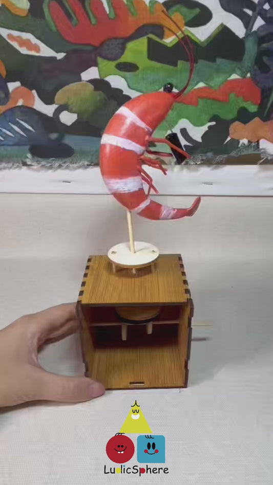 Groovy Shrimp Automata - Musical Clay Shrimp Mechanical Toy Kit